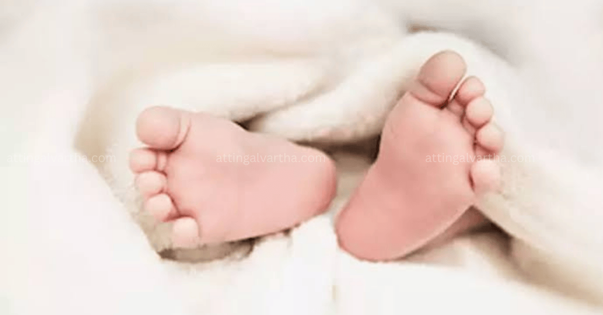 Attingal vartha_20250807_223935_0000