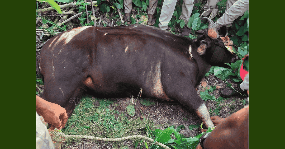 Attingal vartha_20250825_152815_0000