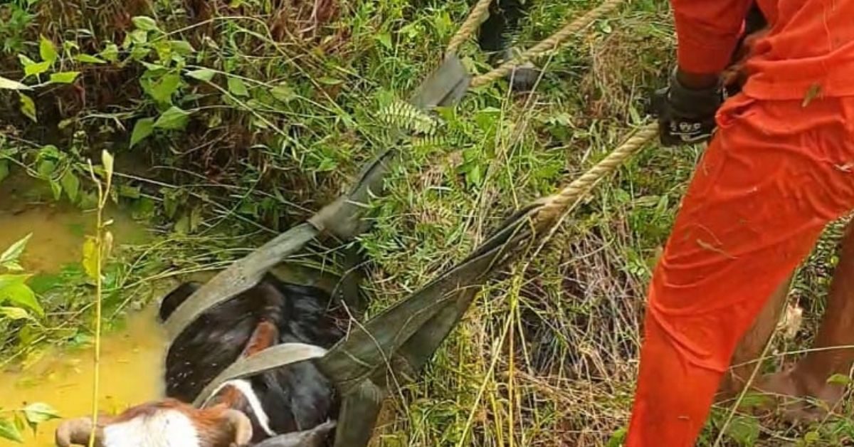 Attingal vartha_20251116_112406_0000