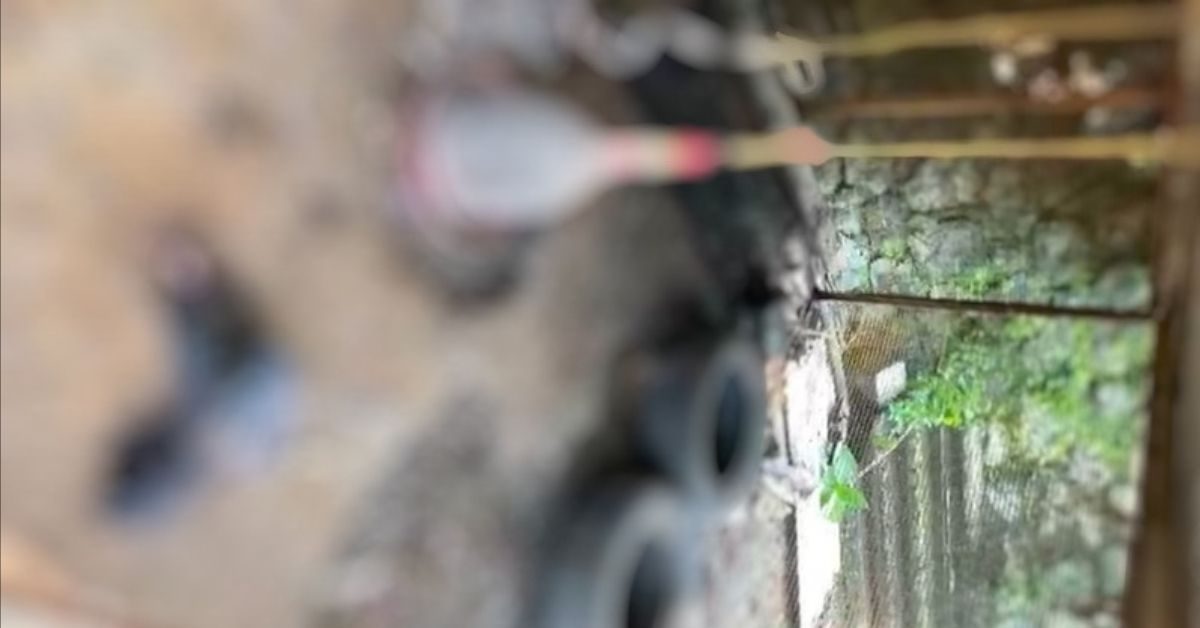 Attingal vartha_20251117_203054_0000