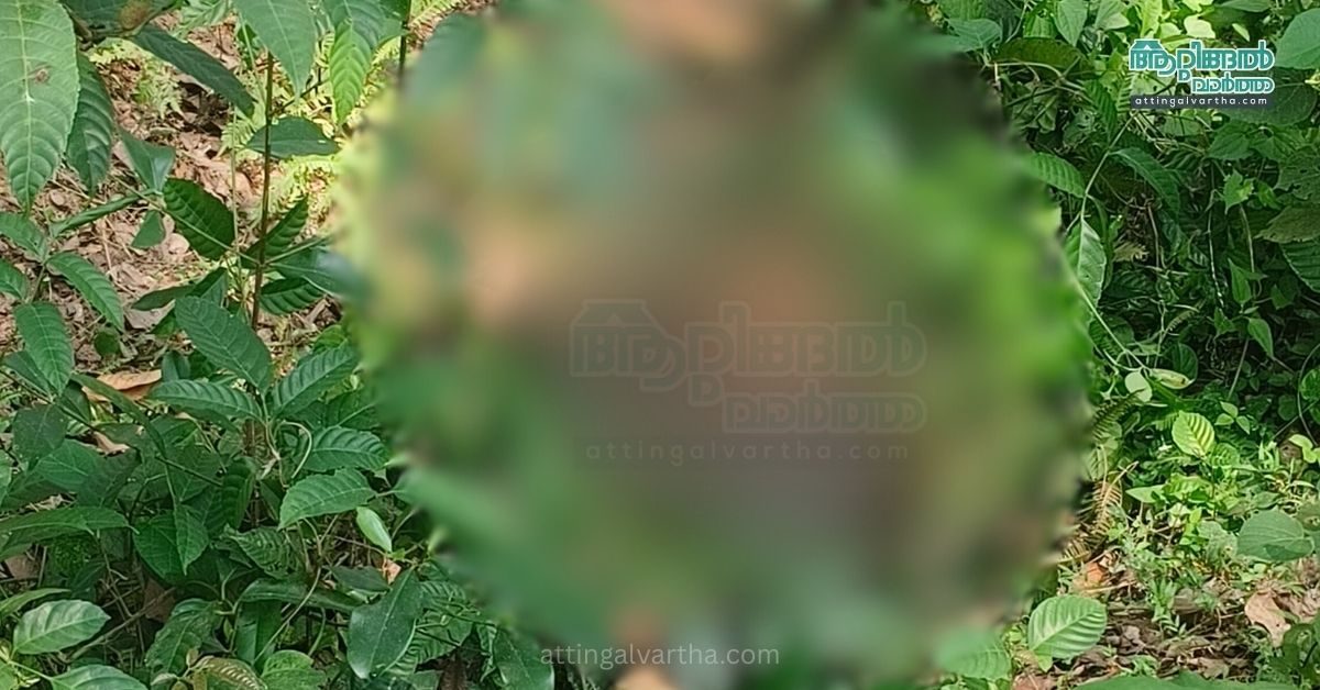 Attingal vartha_20251211_124845_0000