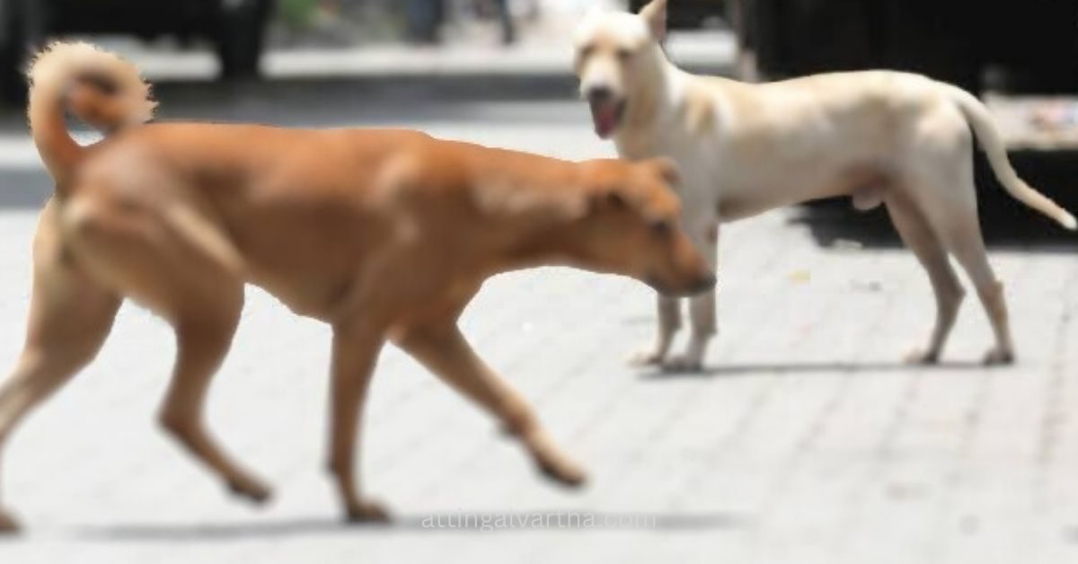 Attingal vartha_20251217_202654_0000