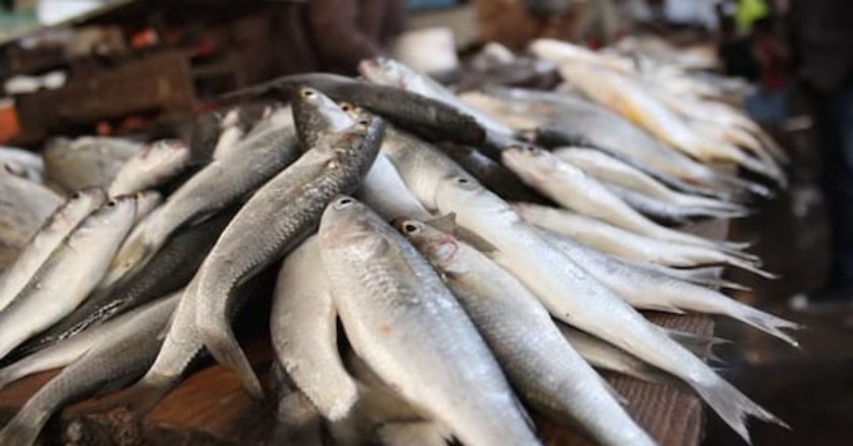 Attingal vartha_20260106_144235_0000