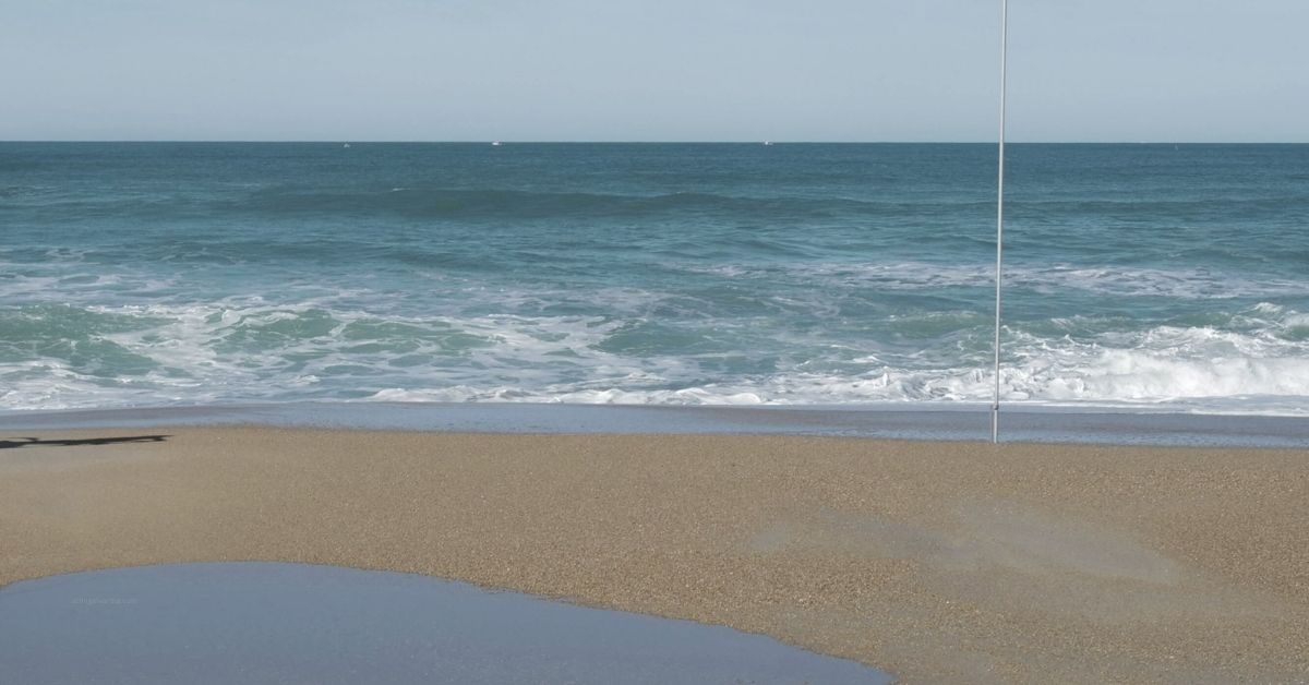 Attingal vartha_20260201_215646_0000