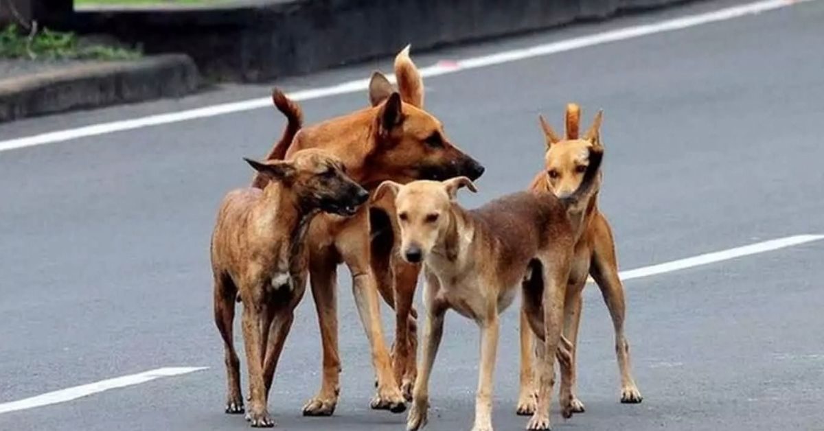 Attingal vartha_20260218_201822_0000