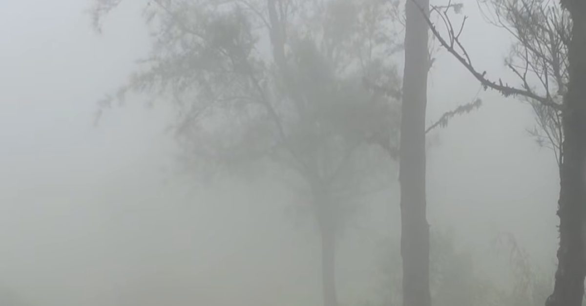 IMG_20250503_142911