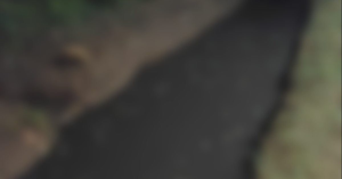 eiRBPGN5867